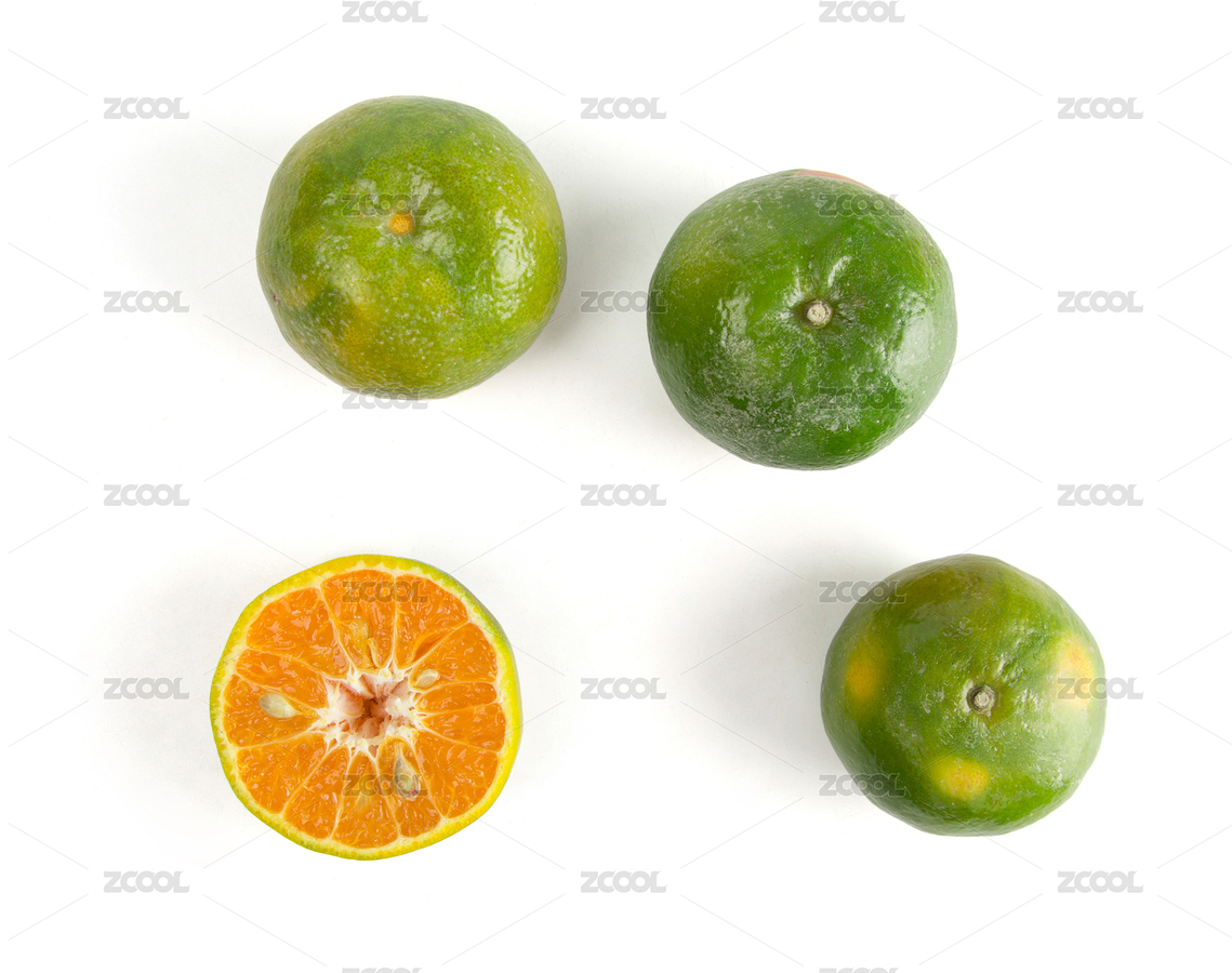 新鮮的泰國蜜柑橘子孤立在白色背景上（主預(yù)覽-12426534） - 未分類 - 站酷設(shè)計師影設(shè)工場原創(chuàng)素材 - 站酷ZCOOL