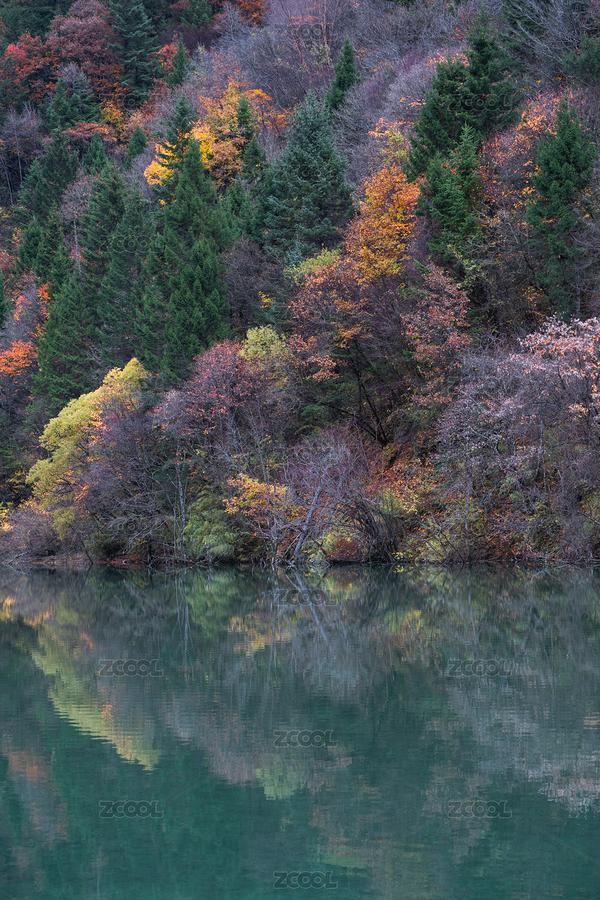 四川阿壩州黑水奶子溝八十里彩林洛哩措風(fēng)光（主預(yù)覽-3677485） - 未分類 - 站酷設(shè)計師西部影匠原創(chuàng)素材 - 站酷ZCOOL