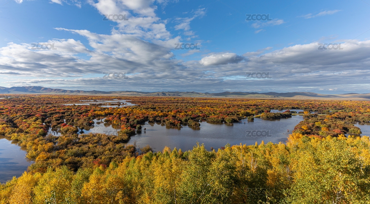 中国内蒙古额尔古纳湿地秋天斑斓秋景（主预览-12379009） - 未分类 - 站酷设计师原野三月原创素材 - 站酷ZCOOL