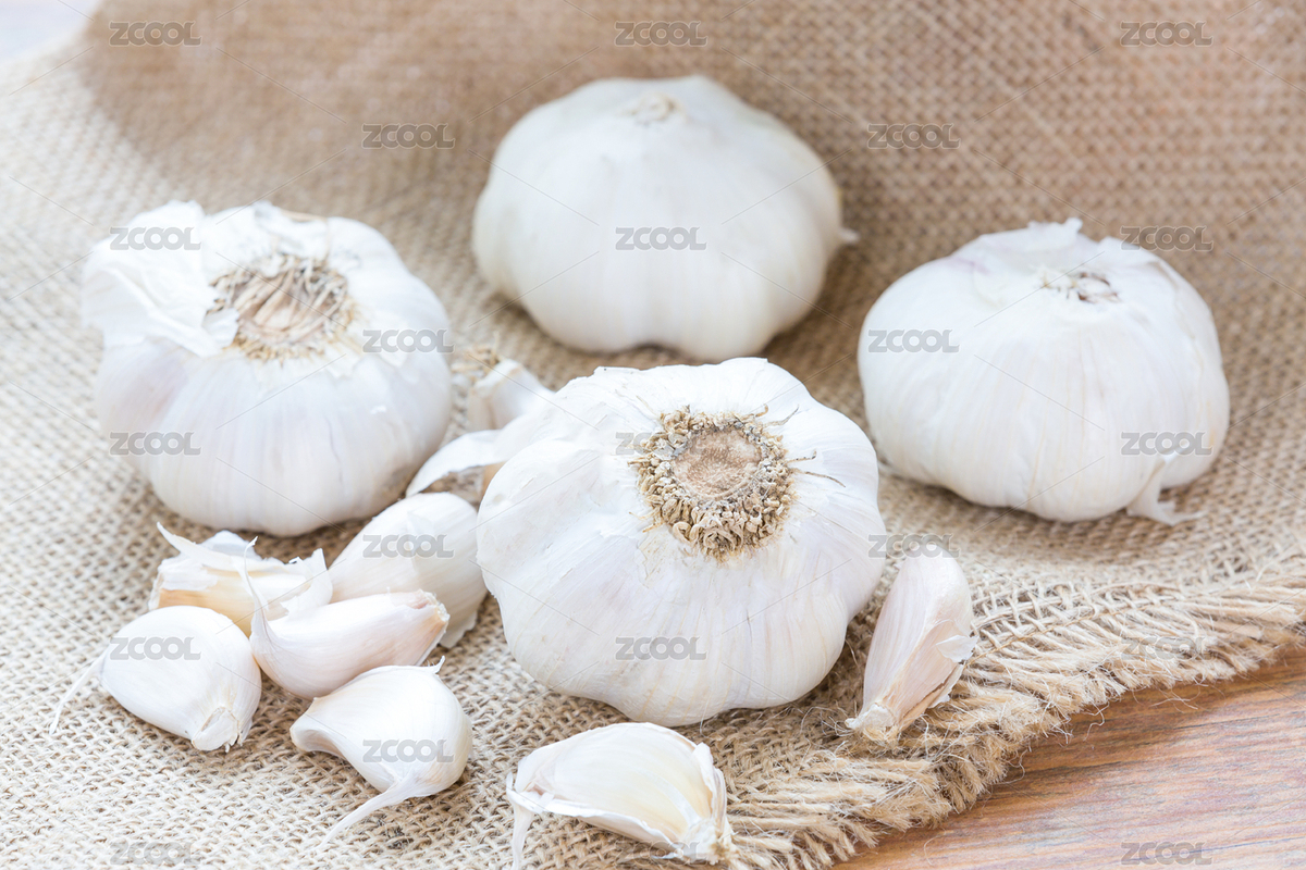 大蒜（主預(yù)覽-8200038） - 未分類(lèi) - 站酷設(shè)計(jì)師gtl0031原創(chuàng)素材 - 站酷ZCOOL