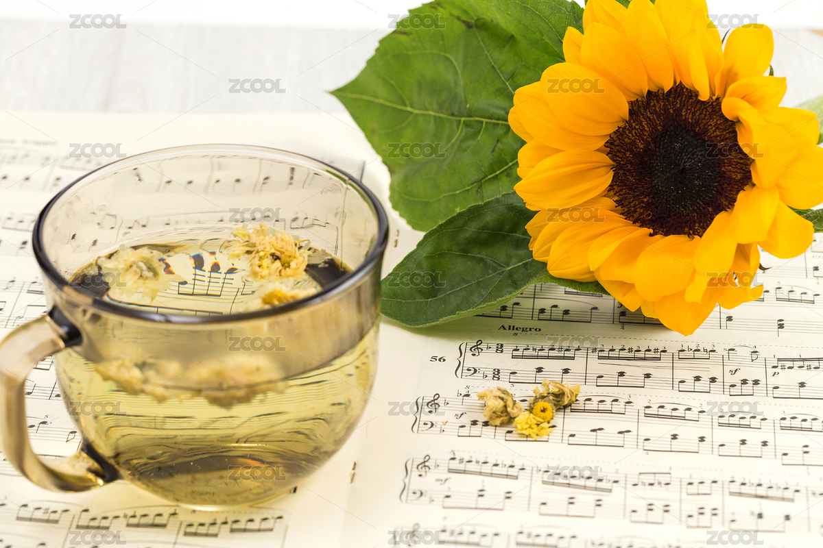 乐谱上的向日葵（主预览-3319597） - 未分类 - 站酷设计师badboydt7原创素材 - 站酷ZCOOL