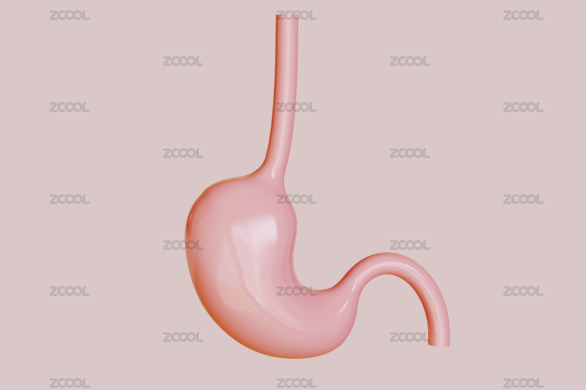胃部器官三維插畫（主預(yù)覽-1779994） - 未分類 - 站酷設(shè)計(jì)師粘鍋原創(chuàng)素材 - 站酷ZCOOL