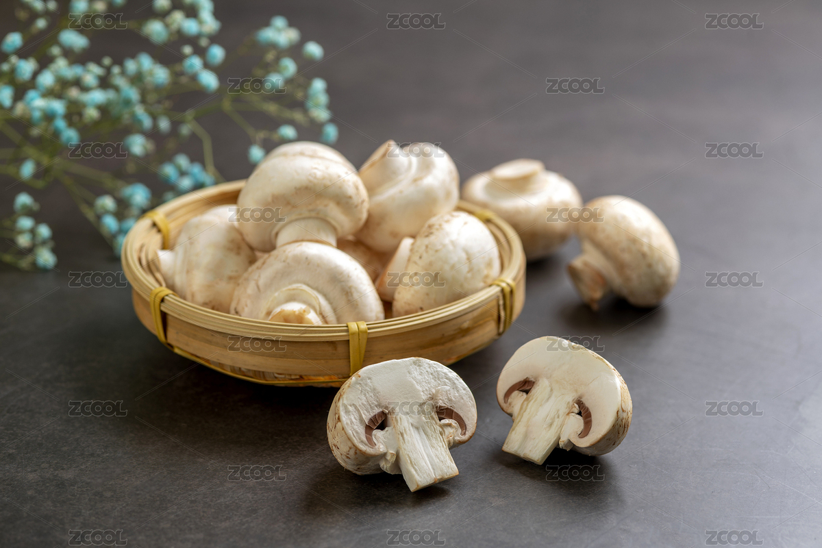 白蘑菇特寫(xiě)深色背景（主預(yù)覽-4173331） - 未分類 - 站酷設(shè)計(jì)師金翅大鵬原創(chuàng)素材 - 站酷ZCOOL