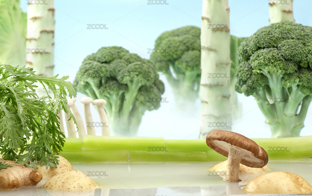 西蘭花萵筍（主預(yù)覽-4319465） - 未分類 - 站酷設(shè)計師圖影攝影原創(chuàng)素材 - 站酷ZCOOL