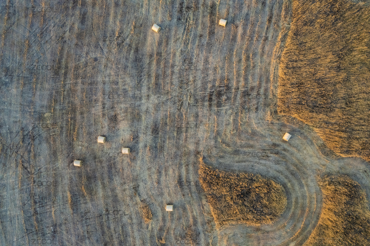 冬季湖边割完草的草场草垛航拍（主预览-7580297） - 未分类 - 站酷设计师西木叔叔原创素材 - 站酷ZCOOL