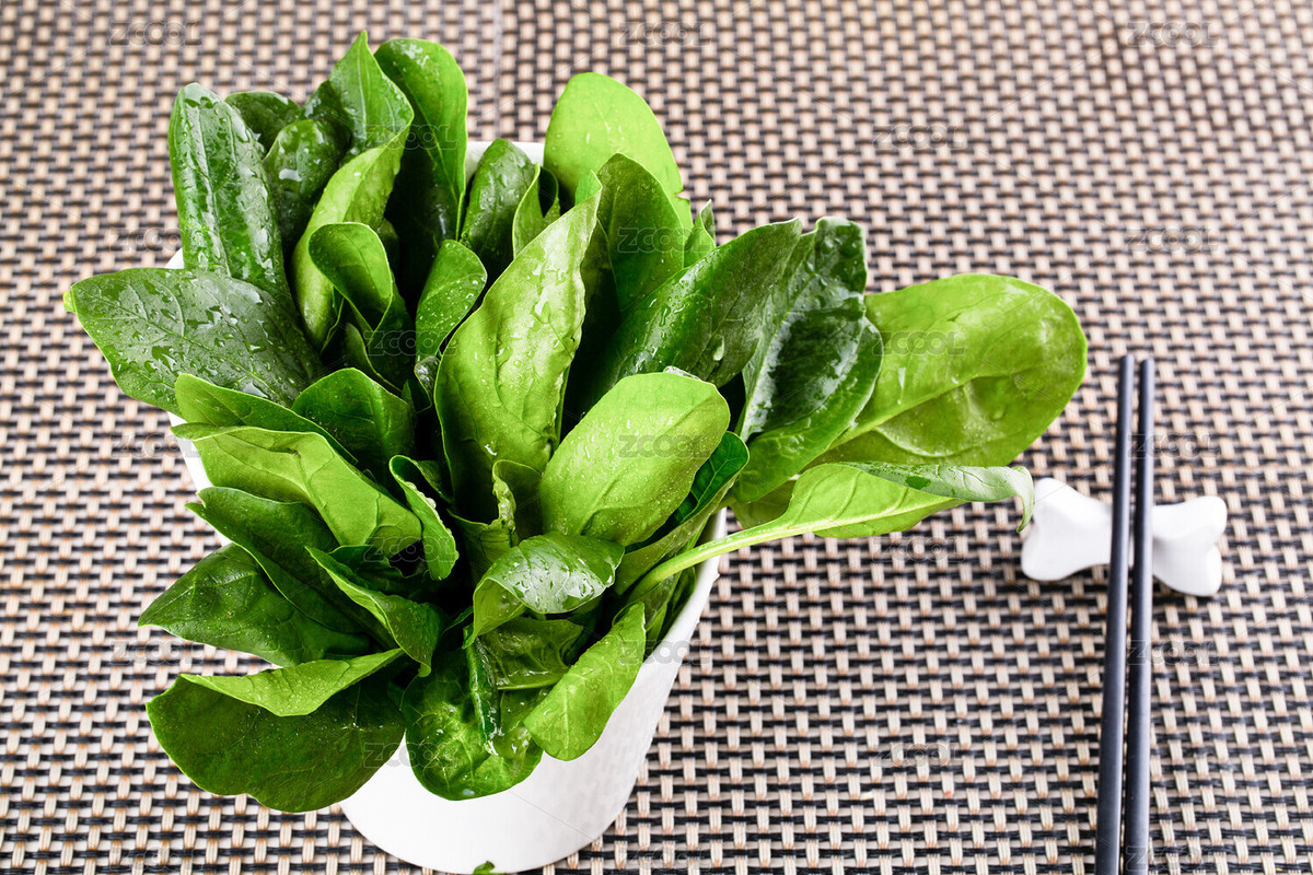 菠菜（主预览-6418217） - 未分类 - 站酷设计师xuzhengfang原创素材 - 站酷ZCOOL