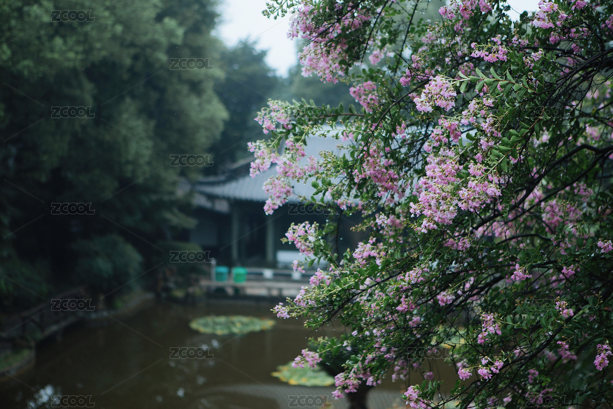 鄂州市西山風(fēng)景區(qū)秀園亭臺樓閣廟宇（主預(yù)覽-3470220） - 未分類 - 站酷設(shè)計師商業(yè)配圖原創(chuàng)素材 - 站酷ZCOOL