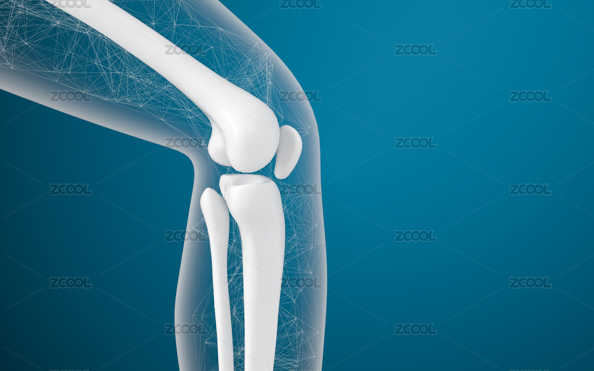 腿部膝蓋骨骼 3D渲染（主預(yù)覽-335526） - 未分類 - 站酷設(shè)計(jì)師VinkFan原創(chuàng)素材 - 站酷ZCOOL