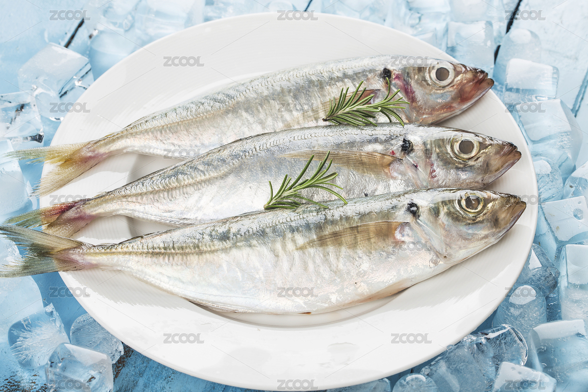 新鲜的巴浪鱼（主预览-3397409） - 未分类 - 站酷设计师达造原创原创素材 - 站酷ZCOOL