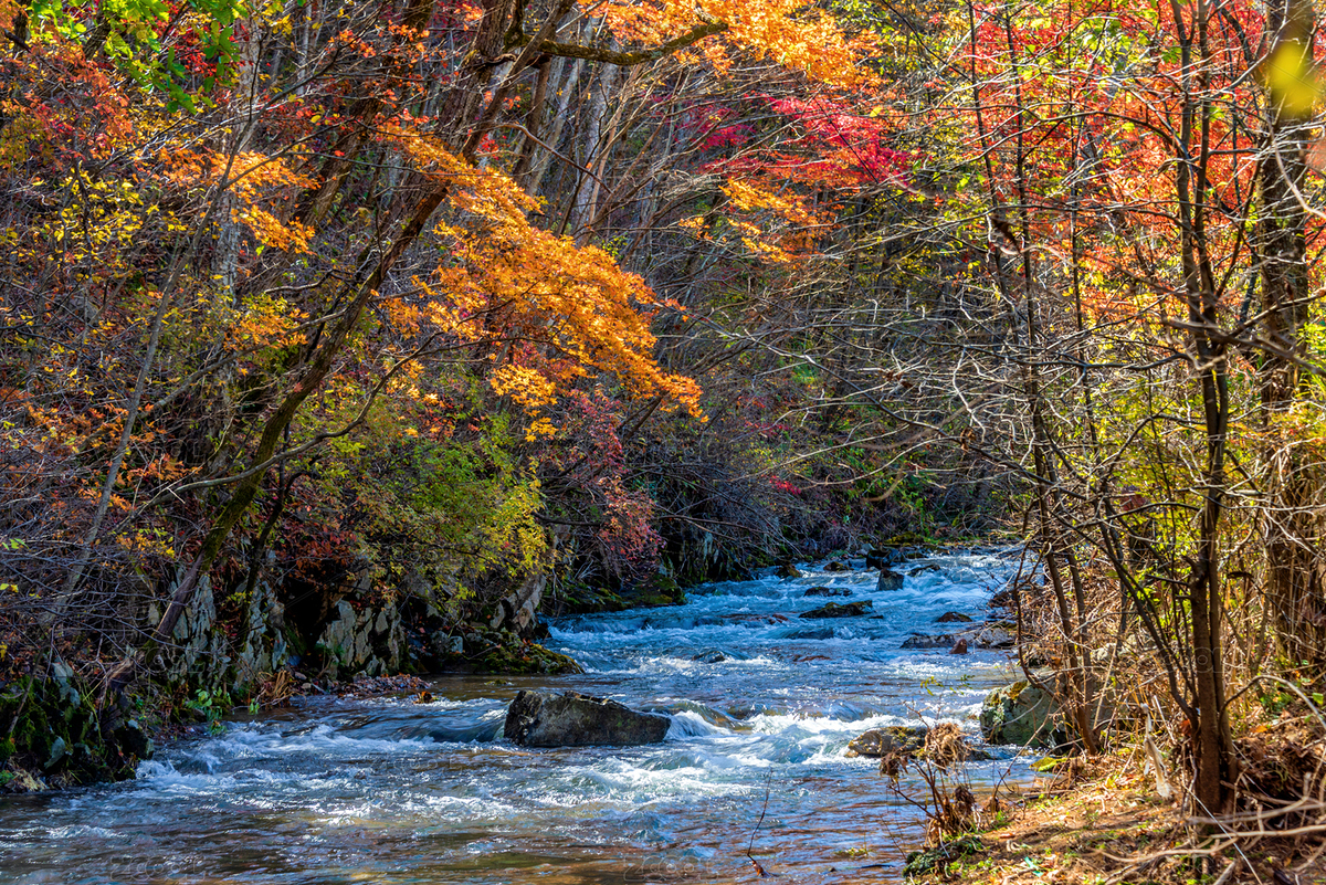 中國遼寧本溪老邊溝秋季風(fēng)光（主預(yù)覽-1584415） - 未分類 - 站酷設(shè)計師健忘的行攝世界原創(chuàng)素材 - 站酷ZCOOL