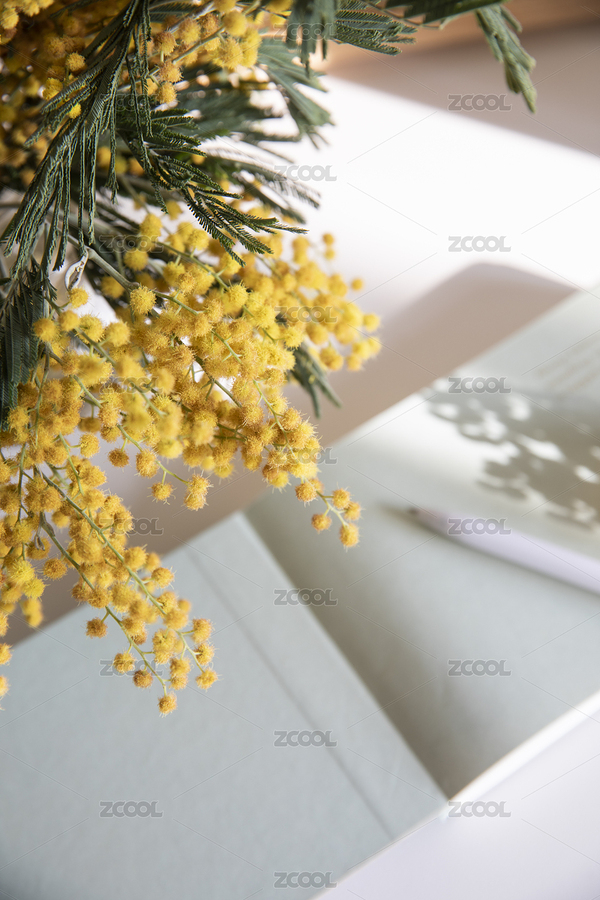 春天的办公桌的金合欢（主预览-2315913） - 未分类 - 站酷设计师糖小猫小乐原创素材 - 站酷ZCOOL