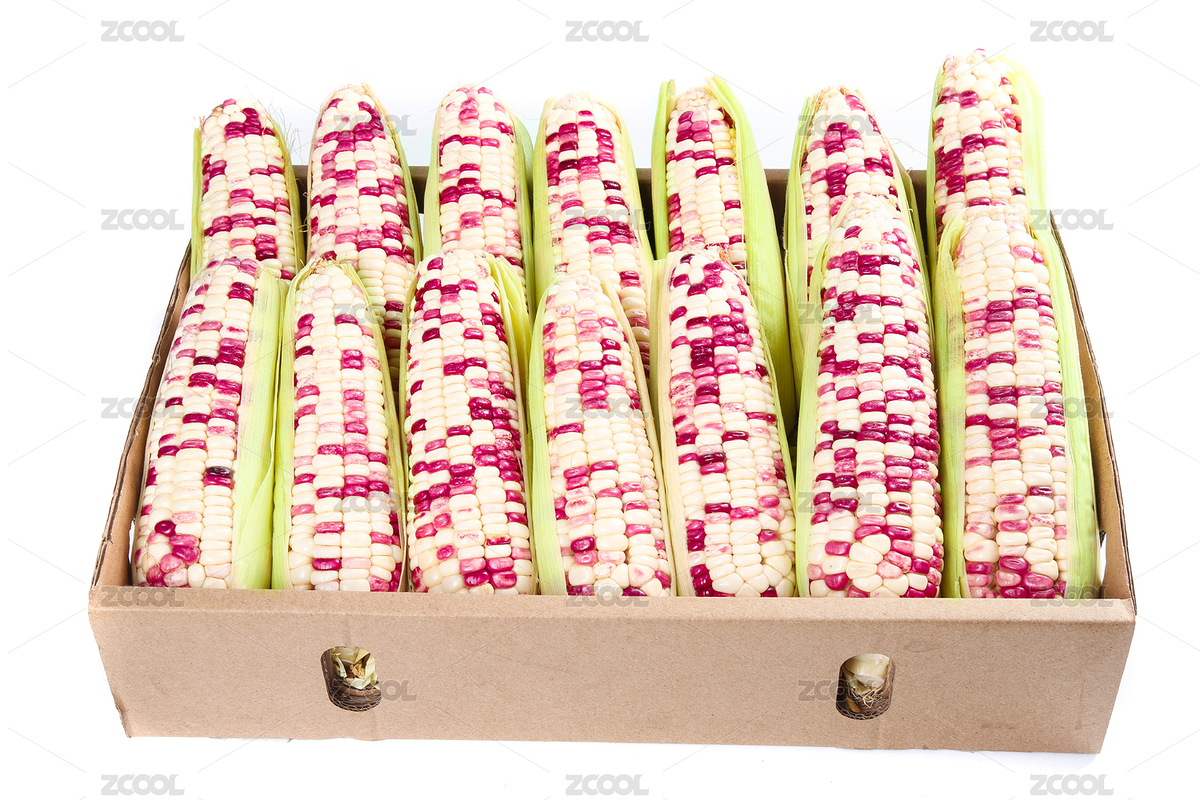 白底上的花糯玉米（主预览-9028940） - 未分类 - 站酷设计师PAOPAO摄影工作室原创素材 - 站酷ZCOOL