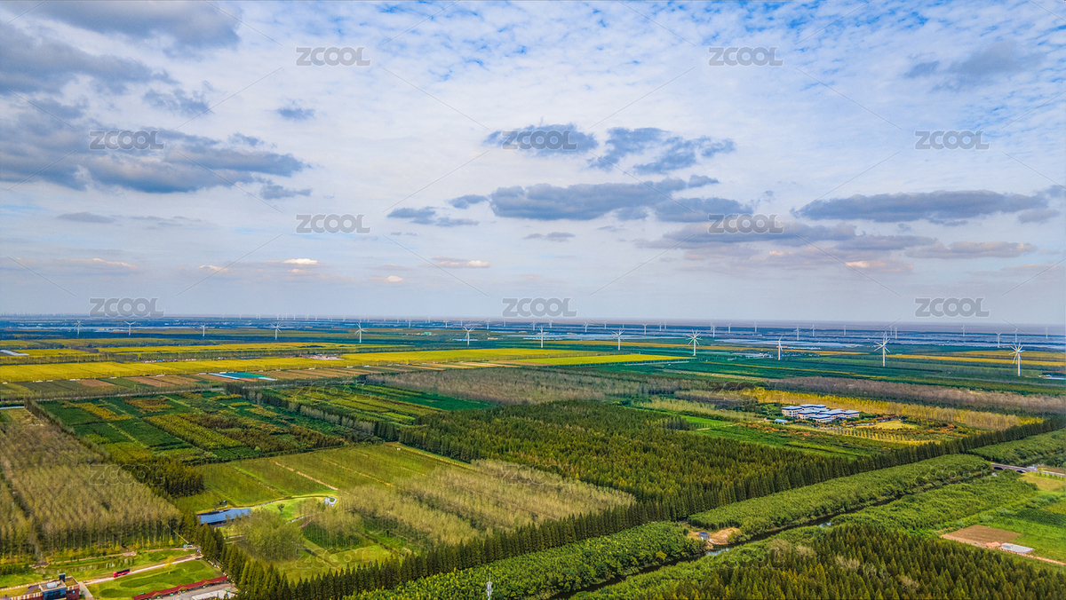 航拍鹽城東臺(tái)萬畝良田與黃海國家森林公園（主預(yù)覽-5211783） - 未分類 - 站酷設(shè)計(jì)師是徐菜狗鴨原創(chuàng)素材 - 站酷ZCOOL