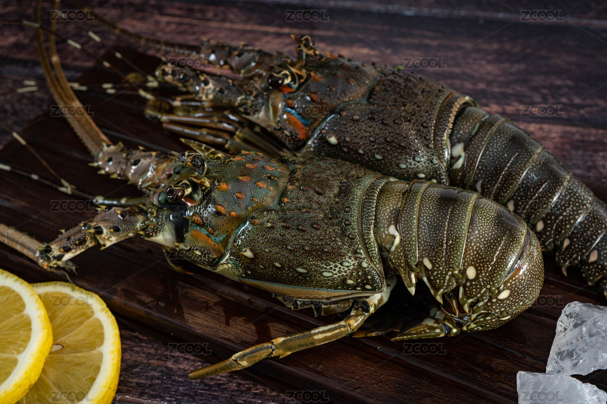 小青龍蝦（主預(yù)覽-7219654） - 未分類 - 站酷設(shè)計(jì)師野鴉原創(chuàng)素材 - 站酷ZCOOL