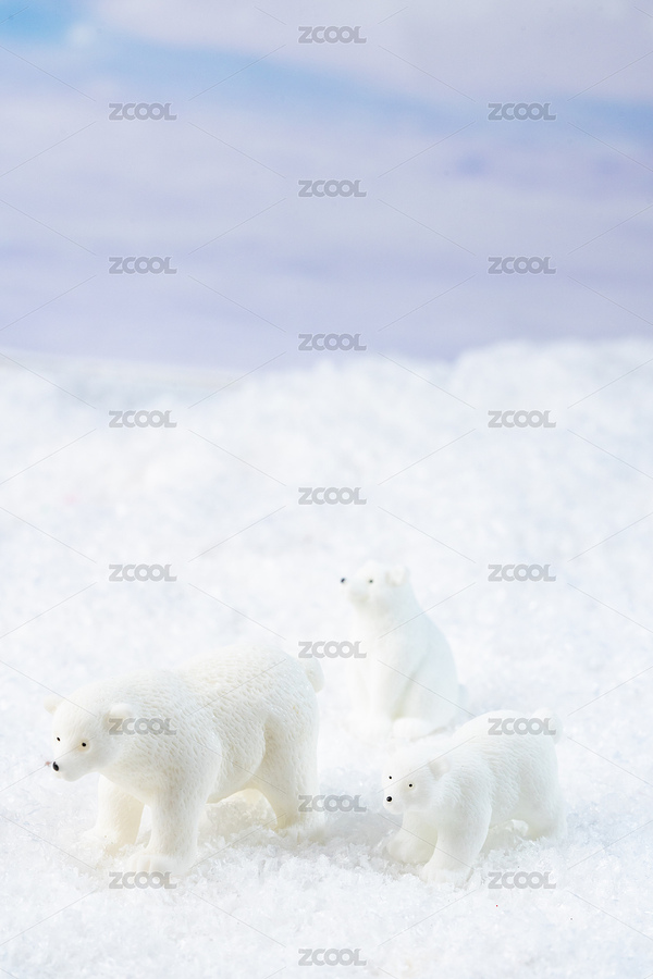 北極熊日（主預(yù)覽-7525215） - 未分類 - 站酷設(shè)計(jì)師安147123原創(chuàng)素材 - 站酷ZCOOL