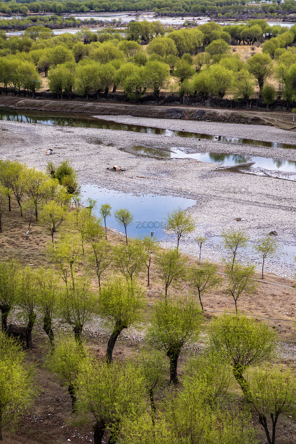 中国新疆林芝航拍树丛（主预览-2491900） - 未分类 - 站酷设计师Judy519原创素材 - 站酷ZCOOL