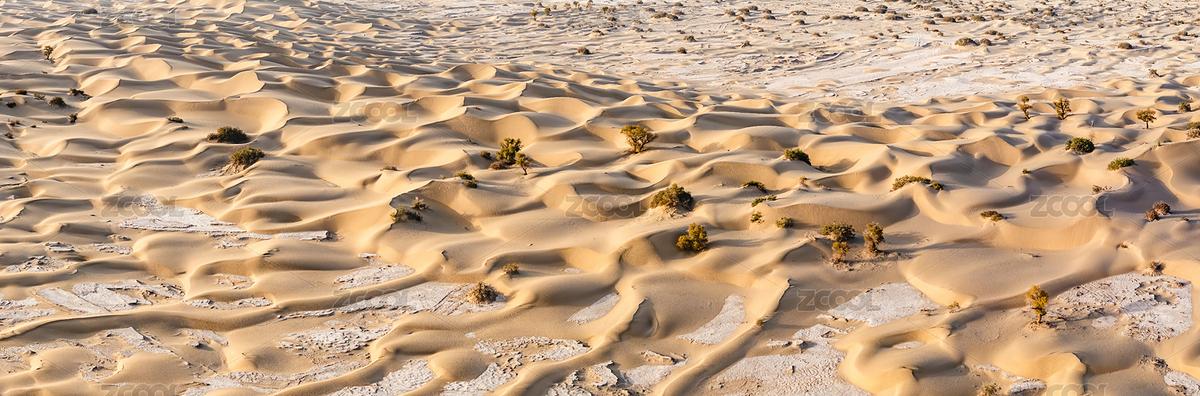 中國新疆巴音郭楞蒙古自治州尉犁縣胡楊林（主預(yù)覽-7119149） - 未分類 - 站酷設(shè)計師zxl2046原創(chuàng)素材 - 站酷ZCOOL