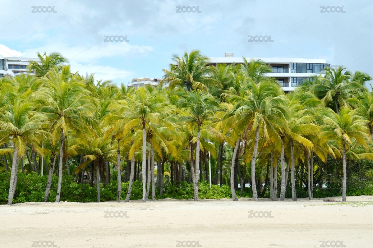 海南風(fēng)光（主預(yù)覽-7615964） - 未分類 - 站酷設(shè)計(jì)師廣交朋友原創(chuàng)素材 - 站酷ZCOOL