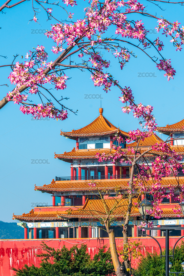 異木棉與珠海名亭樓得月坊（主預覽-4723625） - 未分類 - 站酷設計師陳爍明原創(chuàng)素材 - 站酷ZCOOL