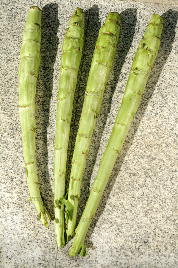 萵筍（主預(yù)覽-8368287） - 未分類 - 站酷設(shè)計(jì)師wmei5881原創(chuàng)素材 - 站酷ZCOOL