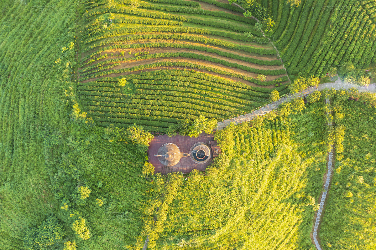 航拍中國廣西南寧大明山萬古茶園（主預(yù)覽-6826708） - 未分類 - 站酷設(shè)計(jì)師梁杰Ljie原創(chuàng)素材 - 站酷ZCOOL