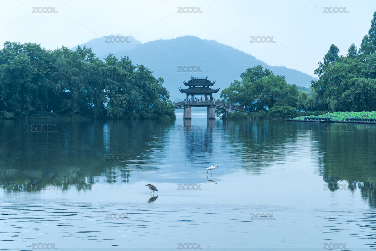 杭州西湖曲院風荷（主預(yù)覽-5557231） - 未分類 - 站酷設(shè)計師城森創(chuàng)意原創(chuàng)素材 - 站酷ZCOOL