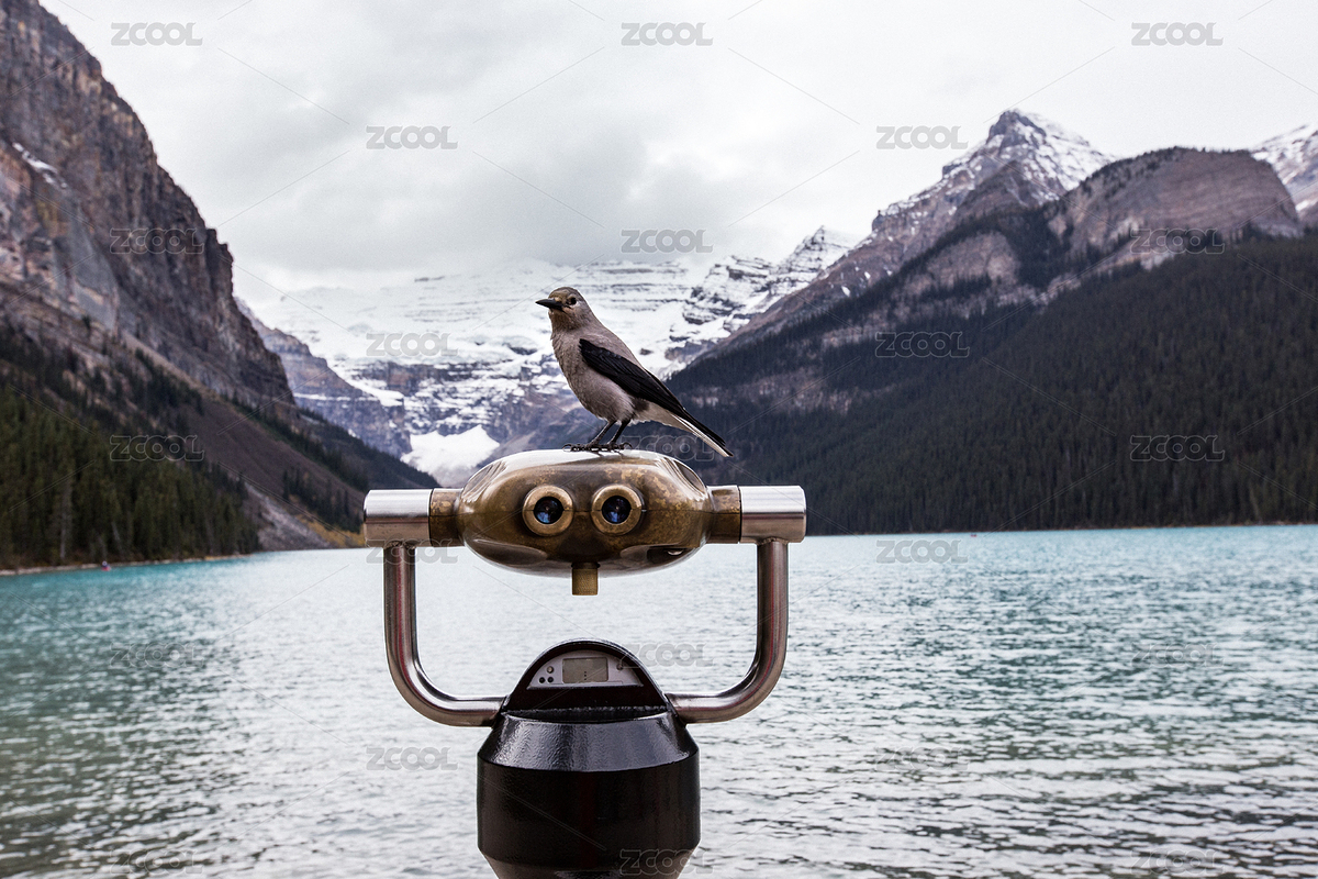 加拿大班夫國(guó)家公園路易斯湖岸邊的瞭望鏡上的小鳥（主預(yù)覽-8043823） - 未分類 - 站酷設(shè)計(jì)師攝影設(shè)計(jì)老師王林原創(chuàng)素材 - 站酷ZCOOL