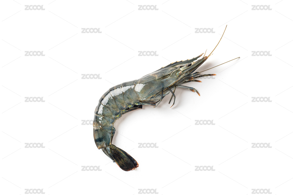 冰鲜黑虎虾（主预览-2508163） - 未分类 - 站酷设计师Jewstudio原创素材 - 站酷ZCOOL