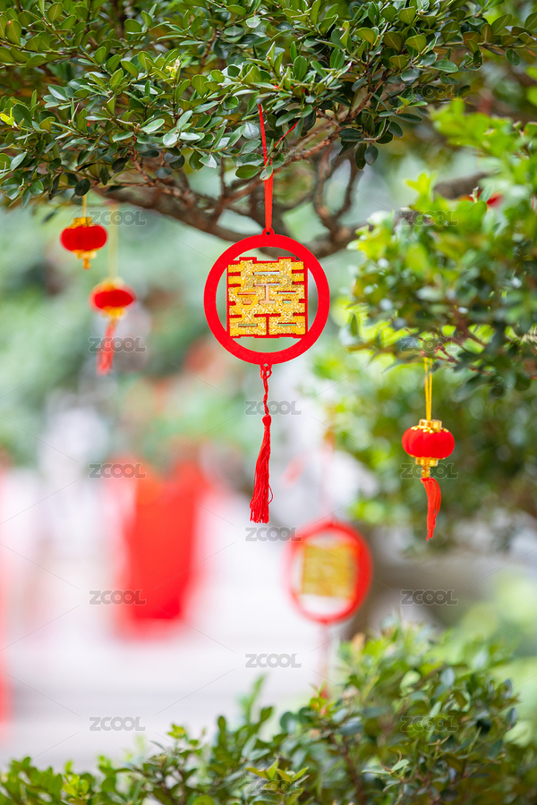 掛在樹上的紅色喜字（主預(yù)覽-6181064） - 未分類 - 站酷設(shè)計(jì)師樂(lè)圖影視原創(chuàng)素材 - 站酷ZCOOL