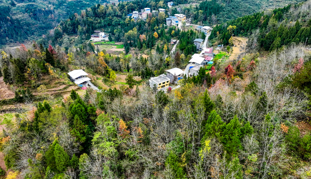 重庆酉阳：初冬清晨彩林宛如冰霜（主预览-7947605） - 未分类 - 站酷设计师hy4262原创素材 - 站酷ZCOOL