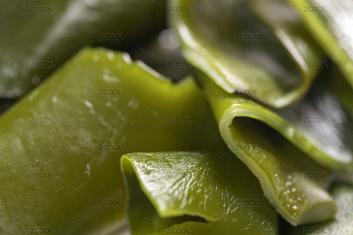 具有調(diào)節(jié)免疫功效的健康食品海帶（主預(yù)覽-5577065） - 未分類 - 站酷設(shè)計(jì)師金翅大鵬原創(chuàng)素材 - 站酷ZCOOL