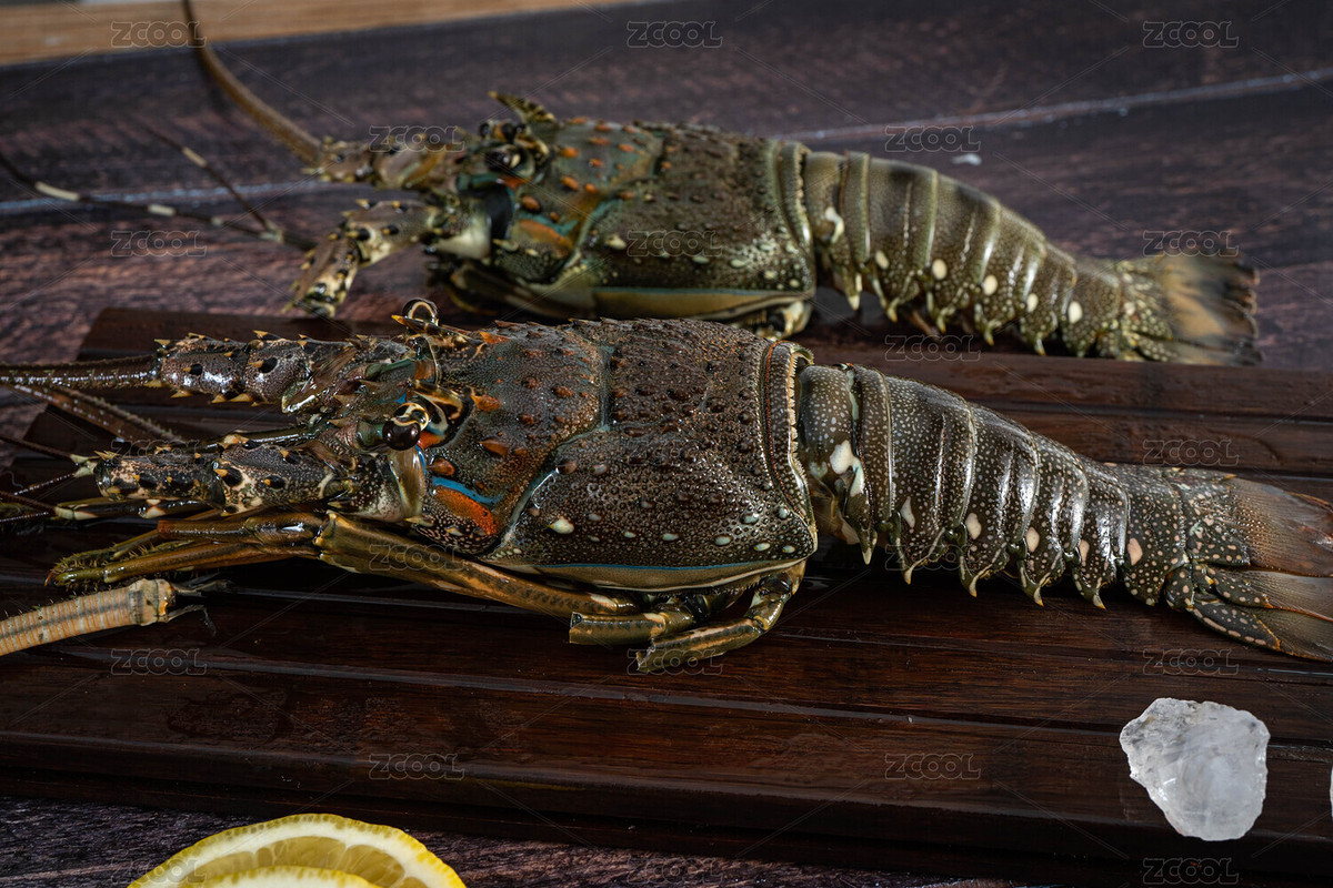 小青龍蝦（主預(yù)覽-4414546） - 未分類 - 站酷設(shè)計師野鴉原創(chuàng)素材 - 站酷ZCOOL