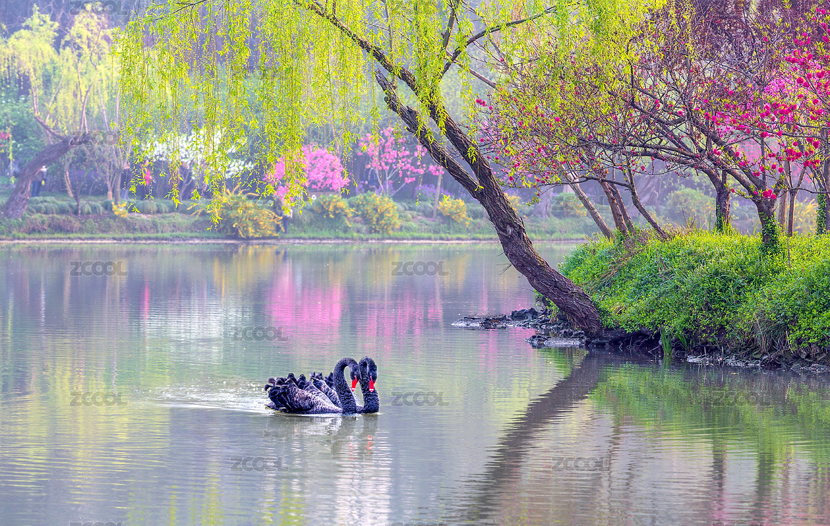 中国扬州瘦西湖公园（主预览-6576886） - 未分类 - 站酷设计师桧雪原创素材 - 站酷ZCOOL