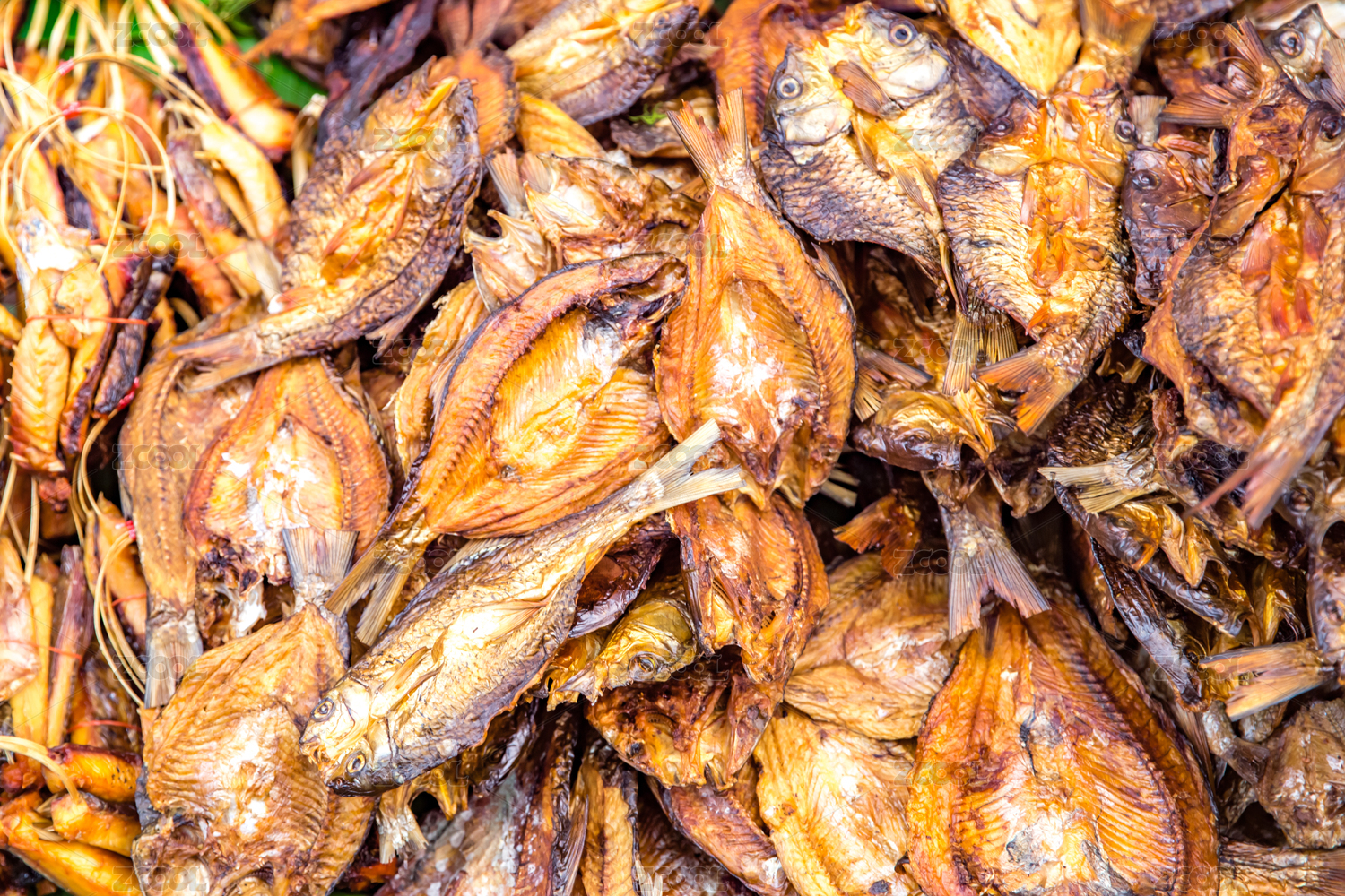 Grilled Fish, Street Food at Night Market of Luang Prabang, Laos