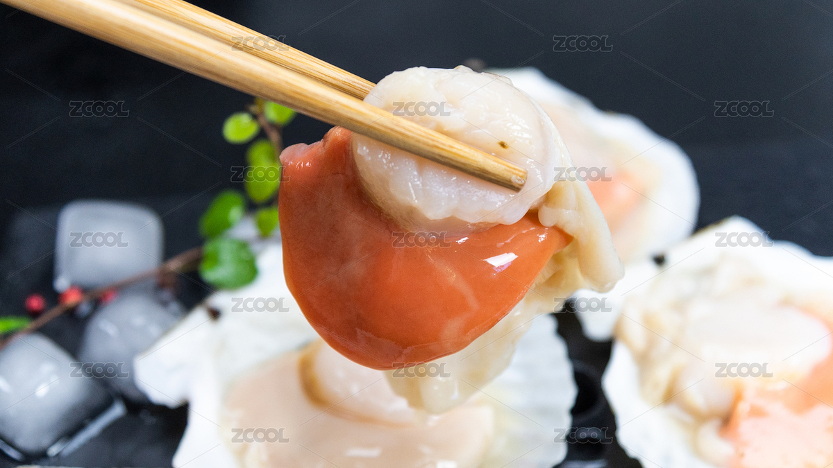 筷子夾著新鮮扇貝肉（主預覽-4041574） - 未分類 - 站酷設計師兩條腿的大傅傅原創(chuàng)素材 - 站酷ZCOOL