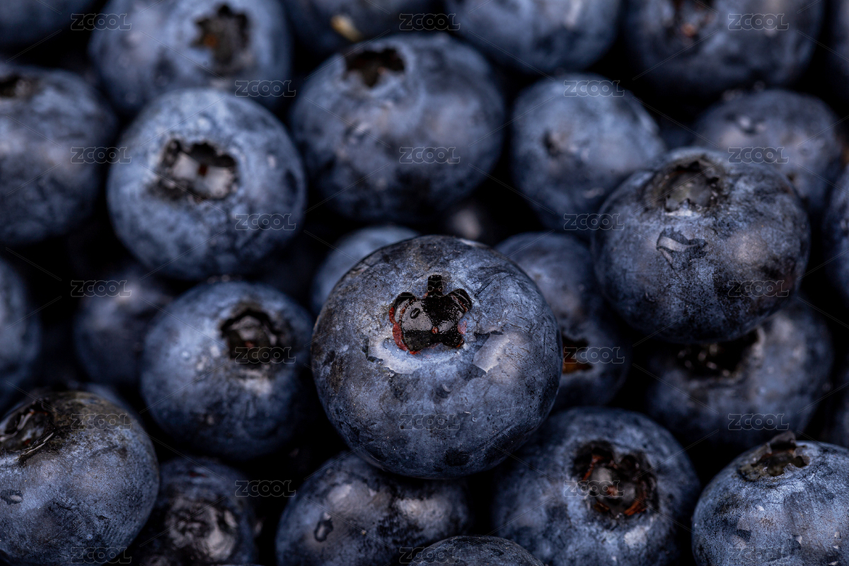 一些新鮮藍(lán)莓的特寫(xiě)照片（主預(yù)覽-3656013） - 未分類 - 站酷設(shè)計(jì)師ljinwkm原創(chuàng)素材 - 站酷ZCOOL