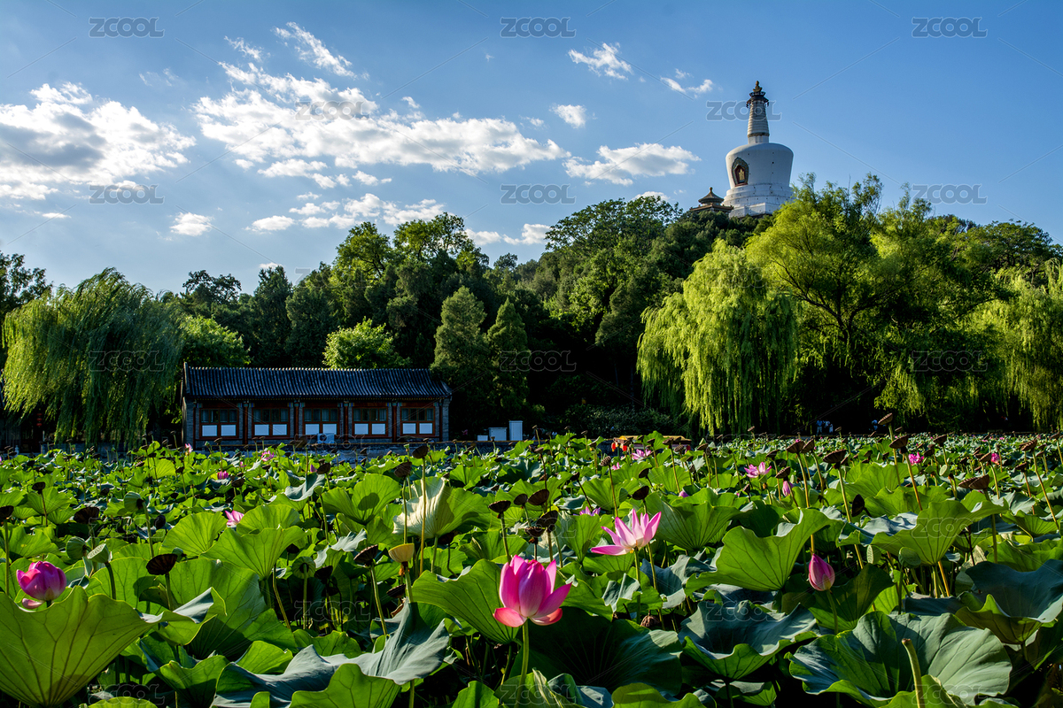 北海公園（主預(yù)覽-2552520） - 未分類 - 站酷設(shè)計師TmBe04OTwu原創(chuàng)素材 - 站酷ZCOOL