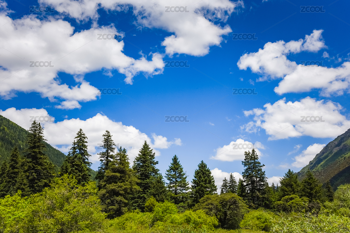 中國四川甘孜藏族自治州青山綠色自然風(fēng)光（主預(yù)覽-12282651） - 未分類 - 站酷設(shè)計(jì)師平蓋213原創(chuàng)素材 - 站酷ZCOOL