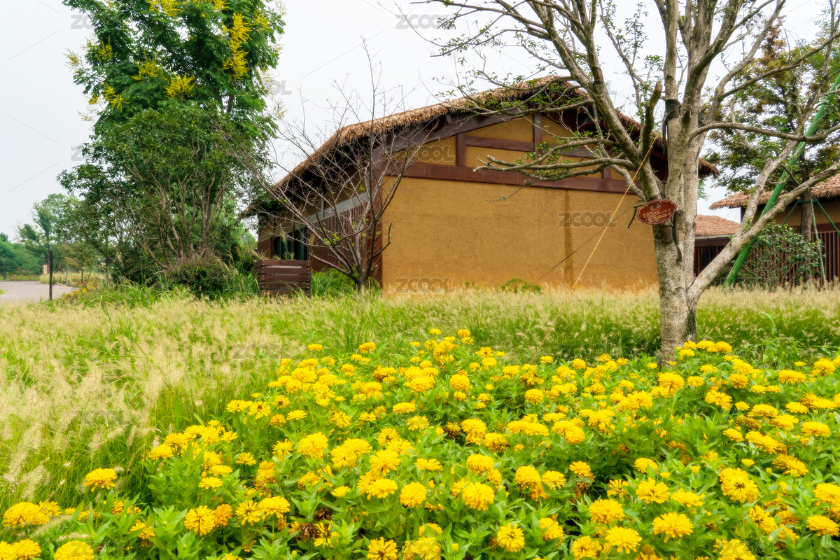 中國(guó)浙江省杭州余杭區(qū)良渚國(guó)家遺址公園風(fēng)光（主預(yù)覽-1148957） - 未分類(lèi) - 站酷設(shè)計(jì)師Z26302855原創(chuàng)素材 - 站酷ZCOOL