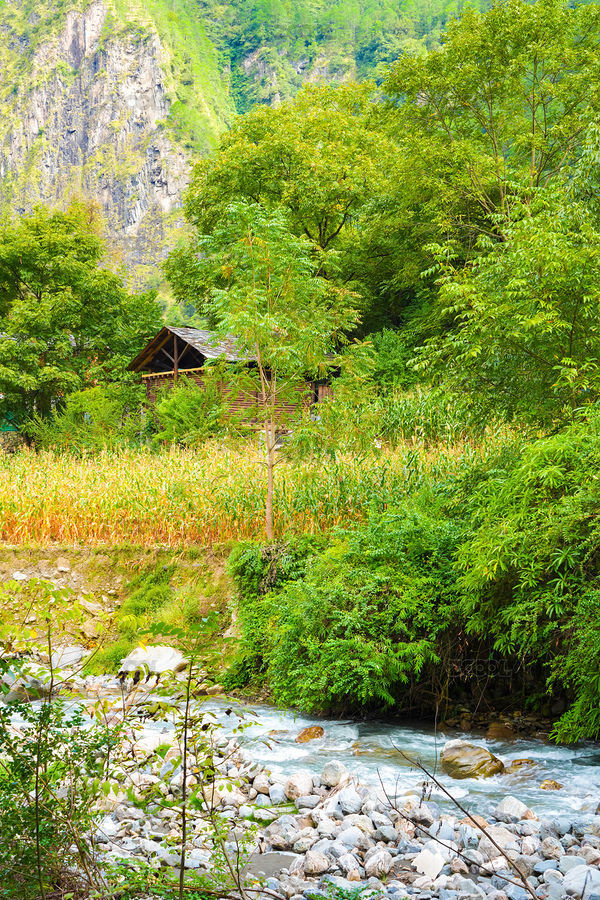 中國云南省怒江州貢山縣丙中洛鎮(zhèn)霧里村風(fēng)光（主預(yù)覽-12501750） - 未分類 - 站酷設(shè)計(jì)師calvin99原創(chuàng)素材 - 站酷ZCOOL