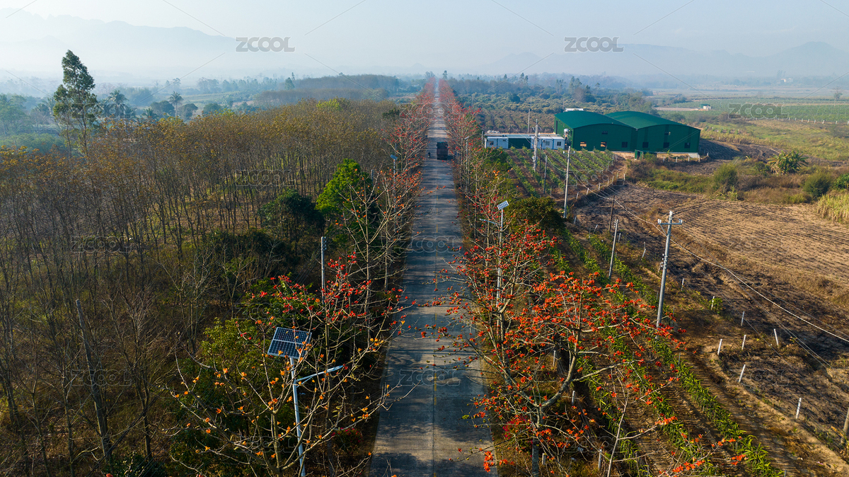 海南昌江黎族自治縣七叉鎮(zhèn)美麗公路 木棉花（主預(yù)覽-1431562） - 未分類 - 站酷設(shè)計師Z26302855原創(chuàng)素材 - 站酷ZCOOL