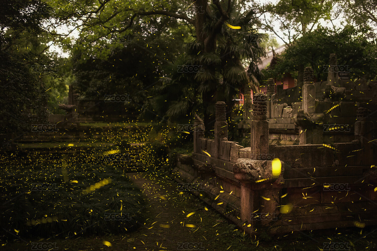 螢火蟲（主預(yù)覽-5592268） - 未分類 - 站酷設(shè)計師guhaoreng原創(chuàng)素材 - 站酷ZCOOL