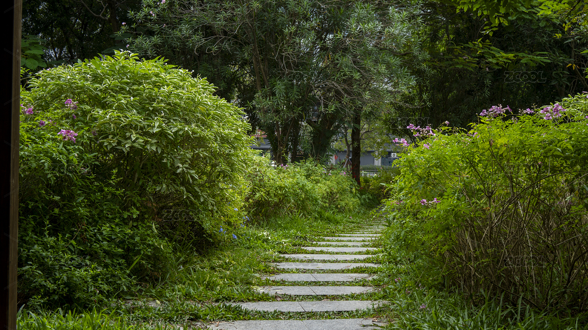 深圳福田紅樹林生態(tài)公園自然風(fēng)光（主預(yù)覽-12260480） - 未分類 - 站酷設(shè)計(jì)師龍嘯奇遇記原創(chuàng)素材 - 站酷ZCOOL