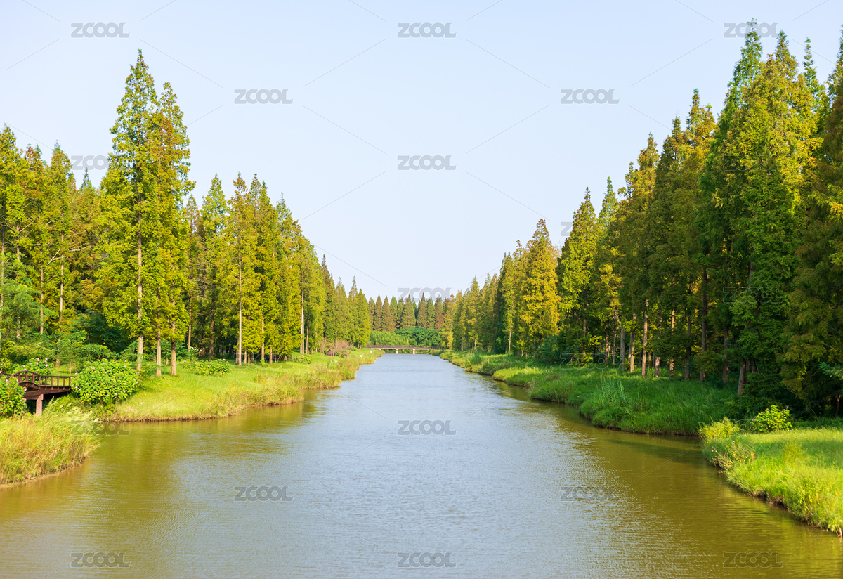 中國(guó)鹽城鹽城黃海森林公園（主預(yù)覽-2054928） - 未分類 - 站酷設(shè)計(jì)師Aqinchan原創(chuàng)素材 - 站酷ZCOOL