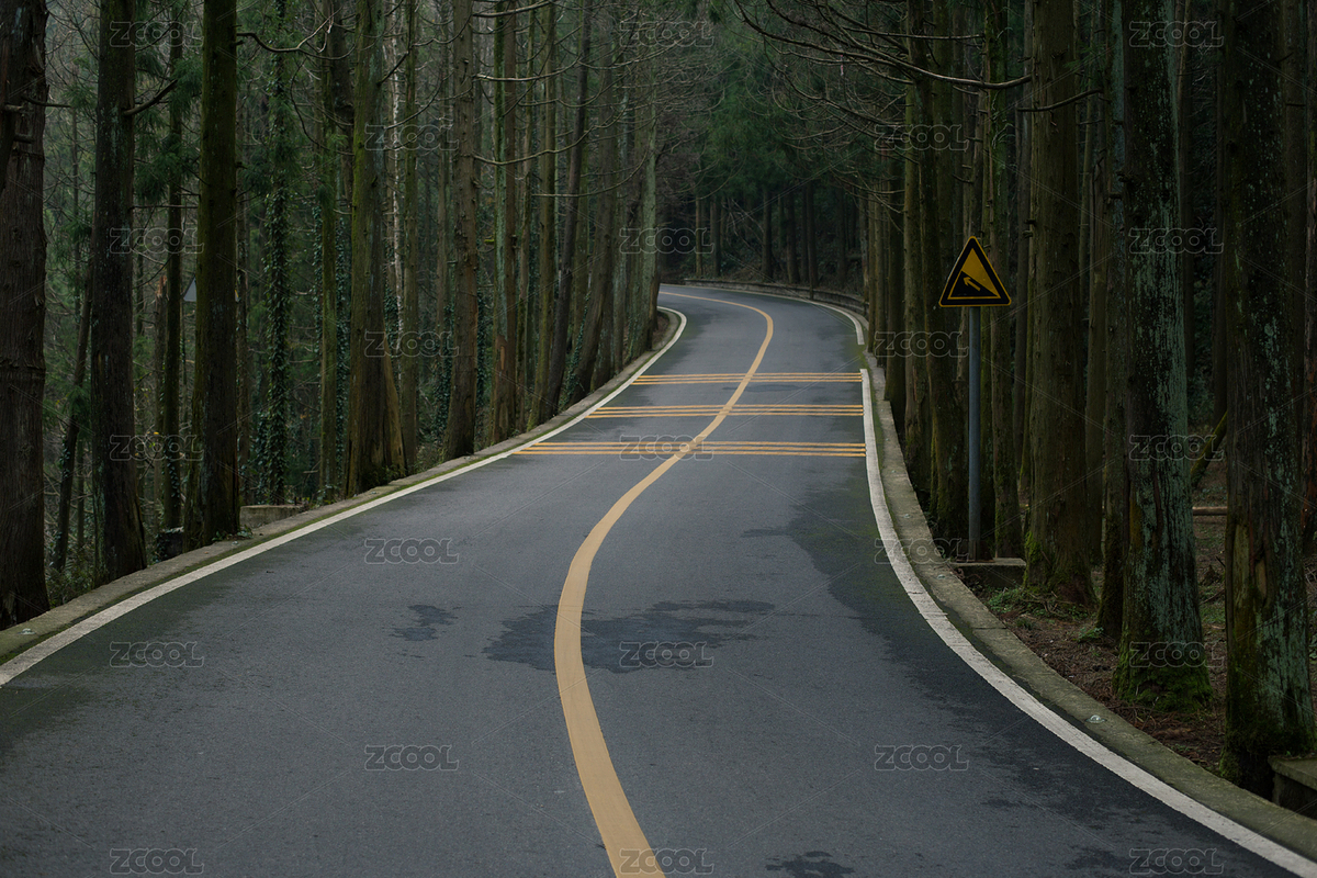 森林公路（主預(yù)覽-5677852） - 未分類 - 站酷設(shè)計師香蕉飛鼠原創(chuàng)素材 - 站酷ZCOOL