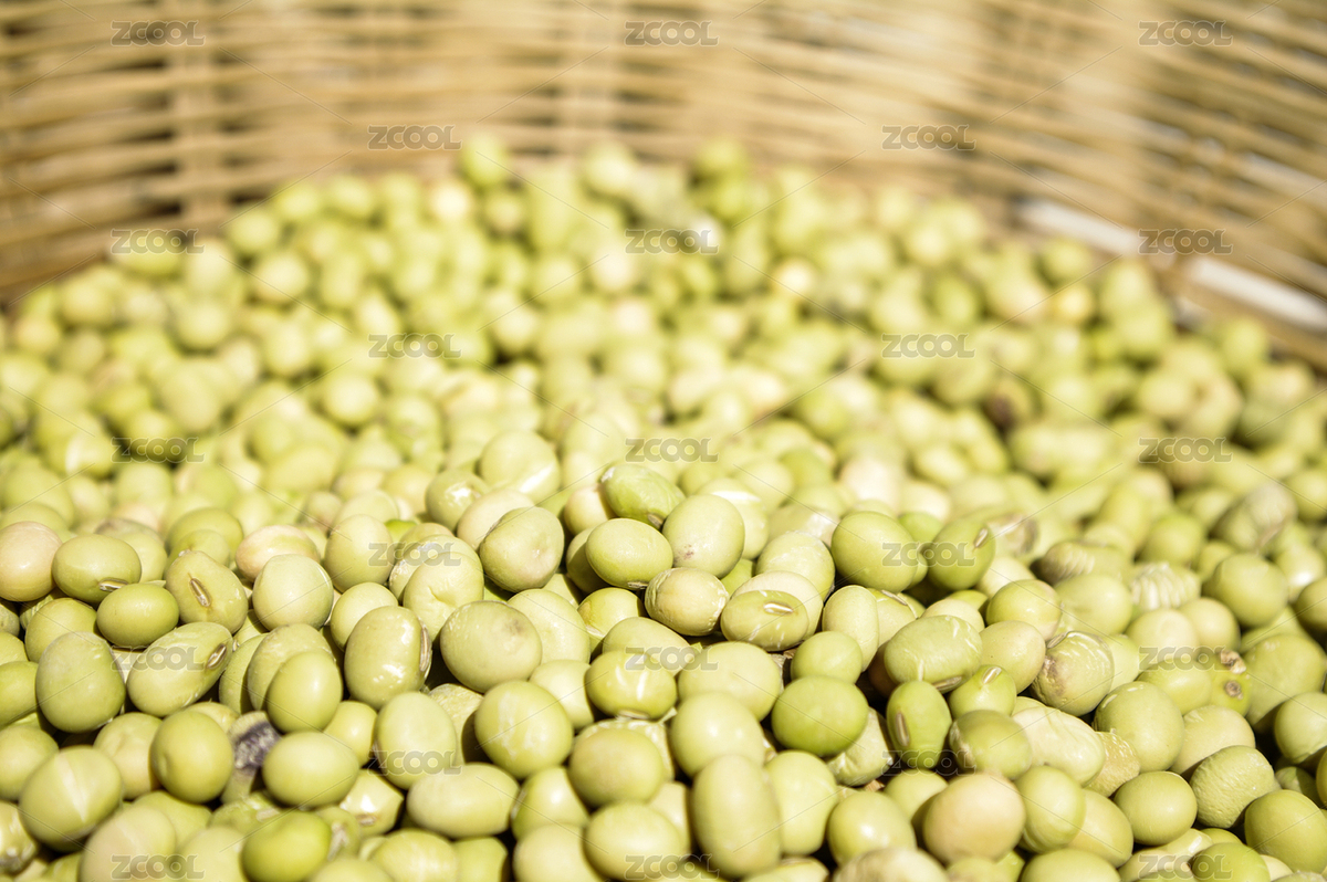 青豆（主預(yù)覽-5898103） - 未分類 - 站酷設(shè)計(jì)師wmei5881原創(chuàng)素材 - 站酷ZCOOL