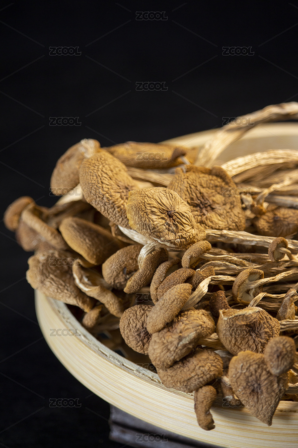 干貨茶樹菇（主預(yù)覽-6778373） - 未分類 - 站酷設(shè)計(jì)師夕安_CA原創(chuàng)素材 - 站酷ZCOOL