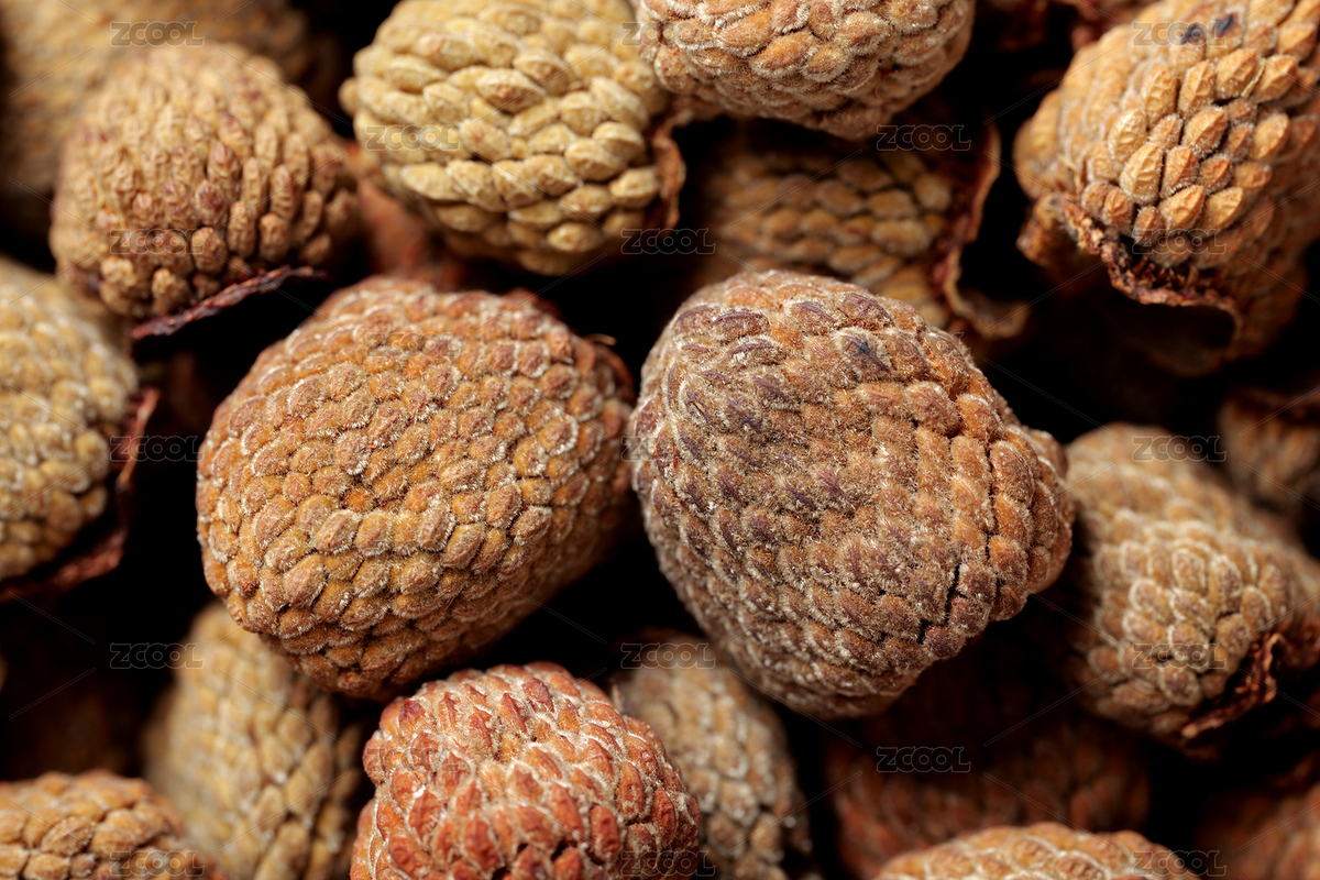 中醫(yī)中藥材飲片覆盆子（主預覽-12566685） - 未分類 - 站酷設(shè)計師9012的生機勃勃原創(chuàng)素材 - 站酷ZCOOL