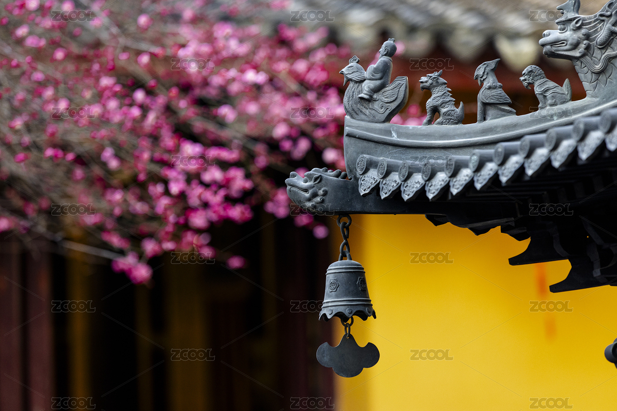 古寺紅梅禪意黃墻光影（主預(yù)覽-9039691） - 未分類(lèi) - 站酷設(shè)計(jì)師初小夏夏原創(chuàng)素材 - 站酷ZCOOL