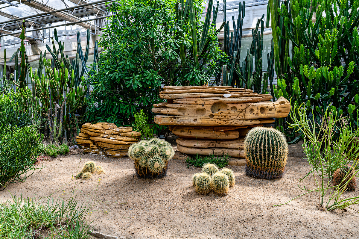 第23屆中國長春國際農(nóng)博會展示的金琥（主預(yù)覽-4179657） - 未分類 - 站酷設(shè)計師XW611028原創(chuàng)素材 - 站酷ZCOOL